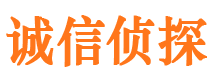 铁锋市私家侦探